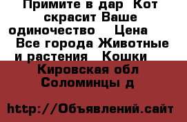 Примите в дар. Кот скрасит Ваше одиночество. › Цена ­ 0 - Все города Животные и растения » Кошки   . Кировская обл.,Соломинцы д.